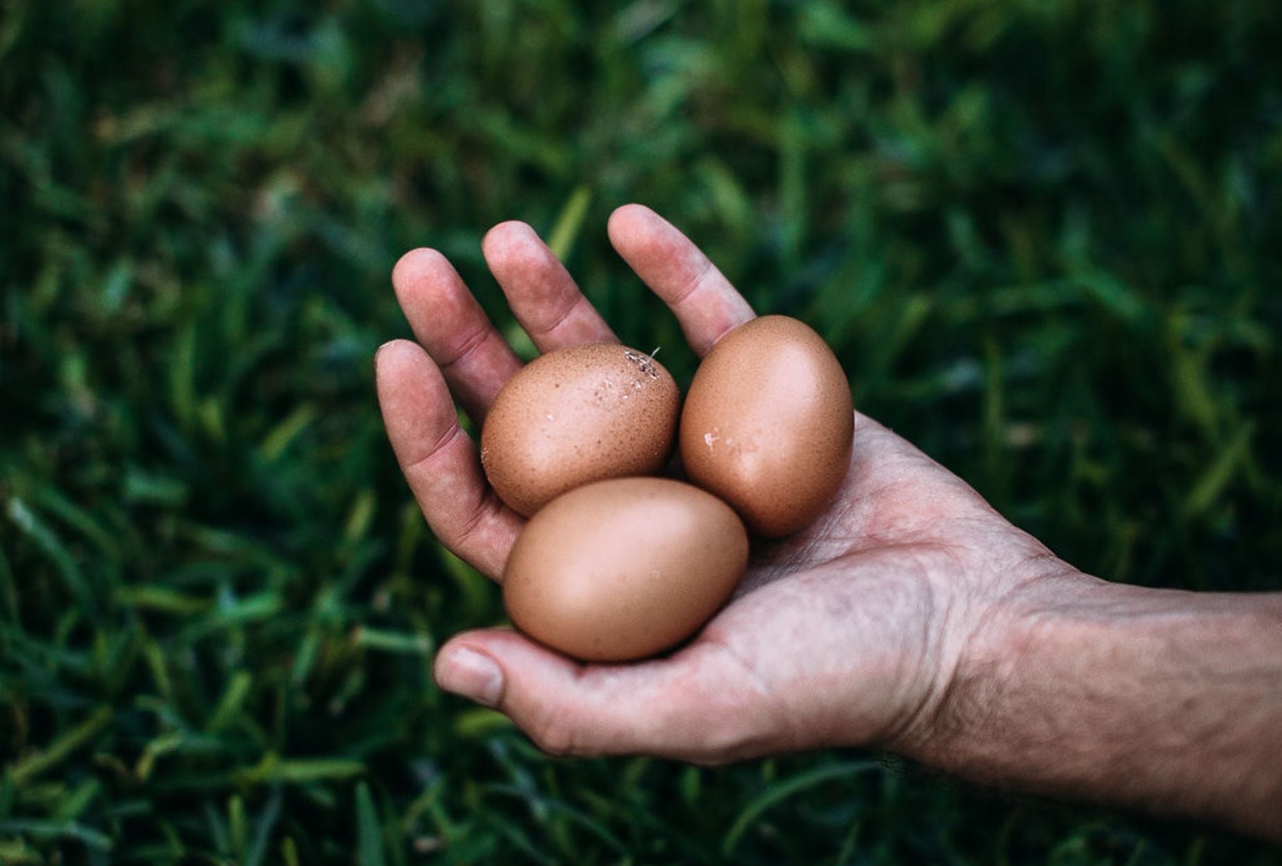 How Hop Creek Farms Supports Local Food Access