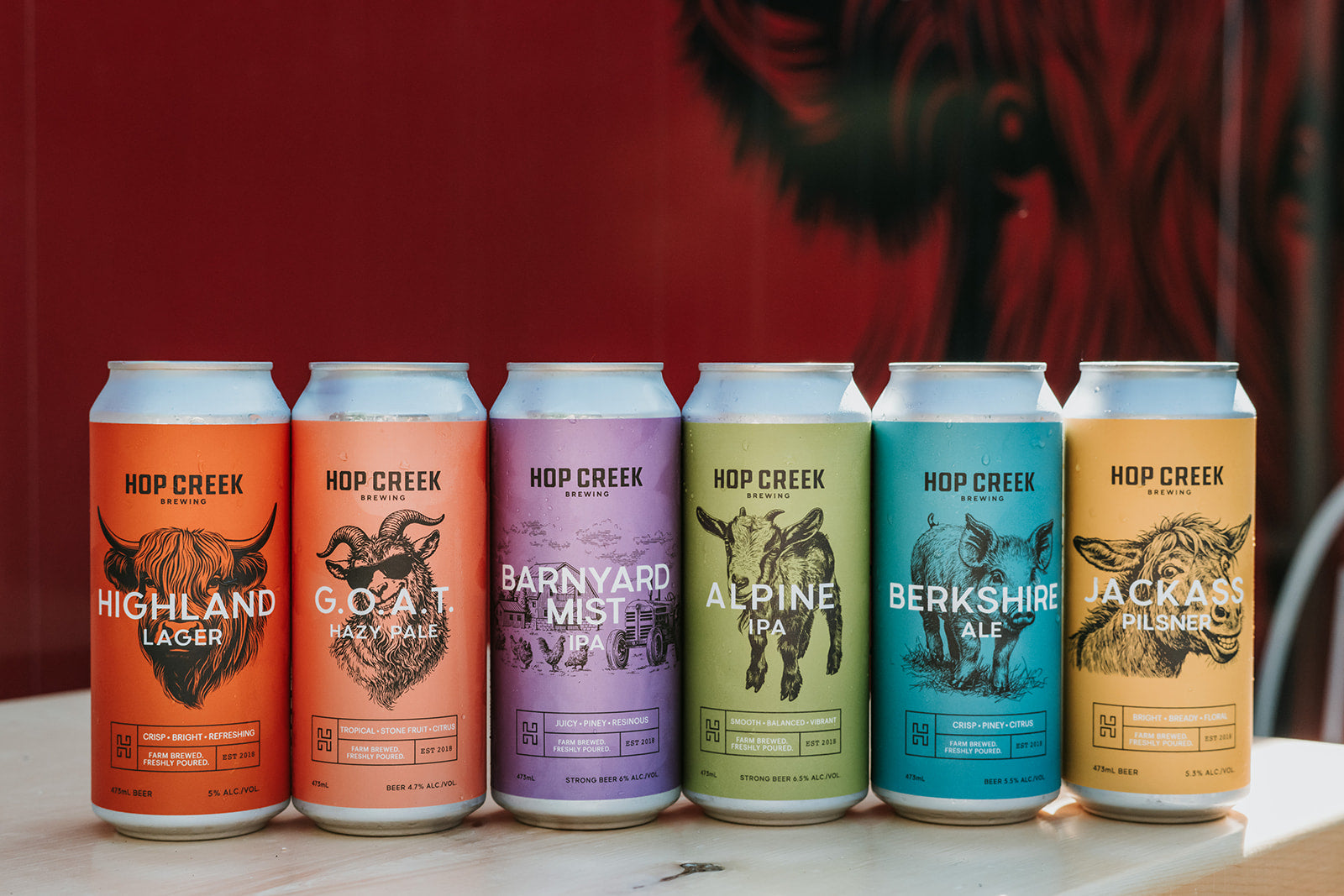 Pilsner, Lager, Ale, IPA, Stout: What's Actually the Difference?