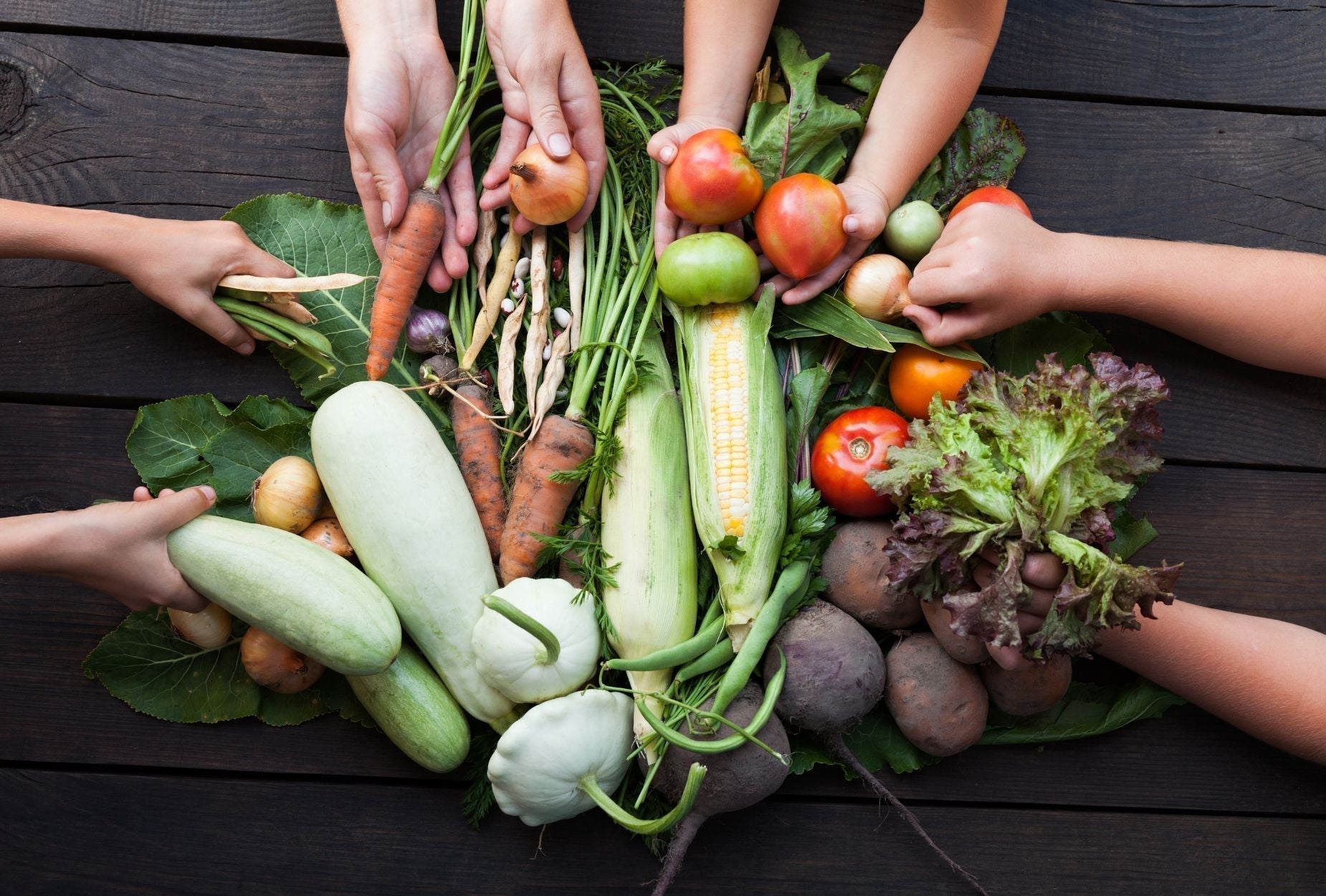 Sustainable Meat Farm Practices at Hop Creek Farms