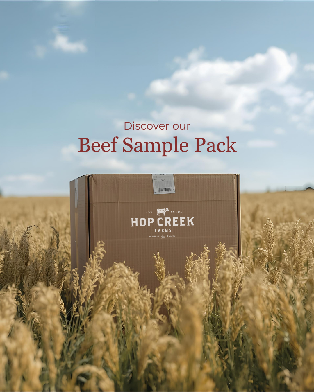 Beef Sample Pack