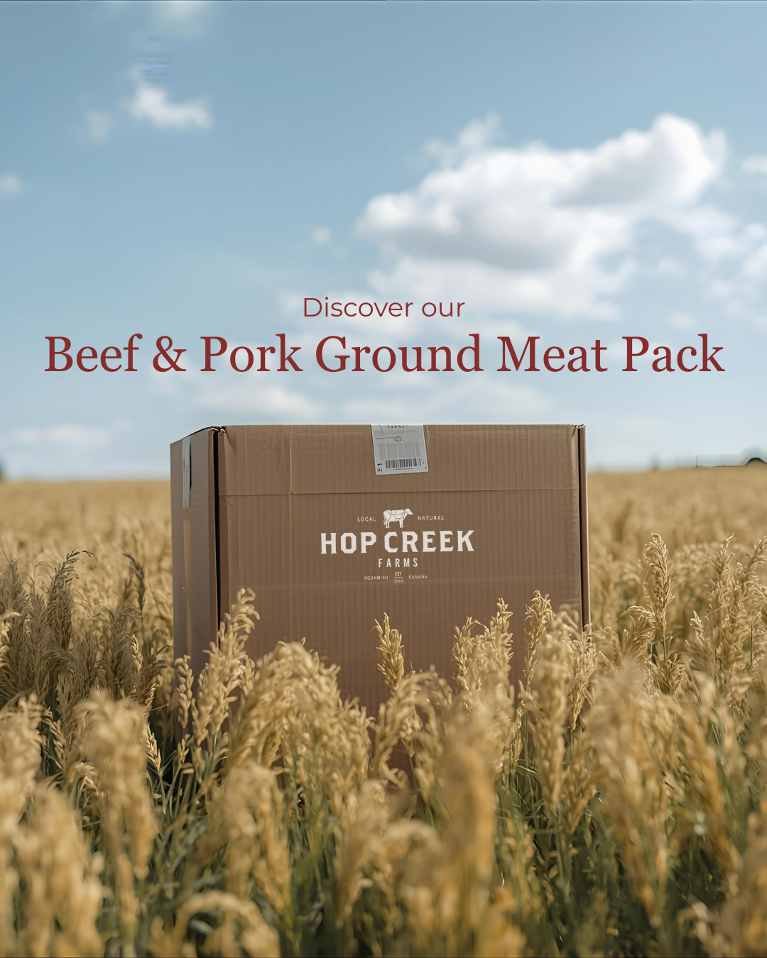 Meat Pack Beef and Pork Ground 20lb